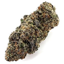7g - Black Trinity - Hybrid Indica Dominant