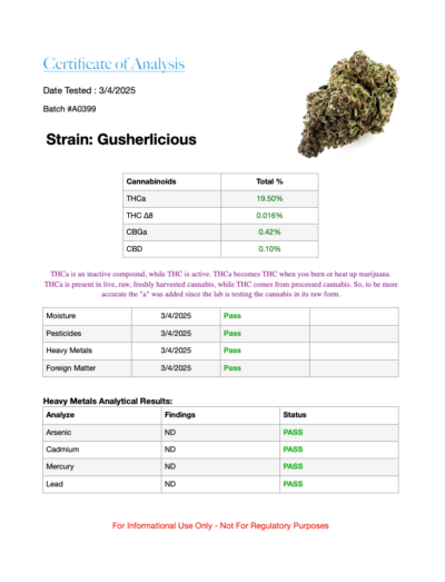 14g - Gusherlicious - Indica Hybrid - Image 3