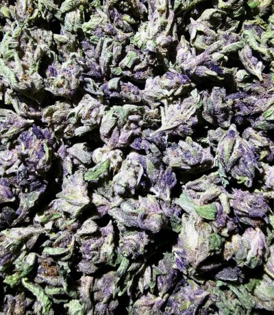 28g - Royal Feast *Oregon Grown* (small buds) (Indica))