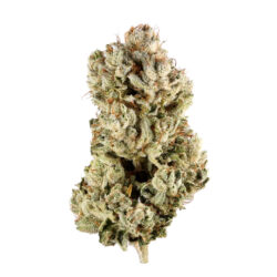14g - GG4 - hybrid indica