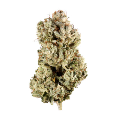 14g - GG4 - hybrid indica