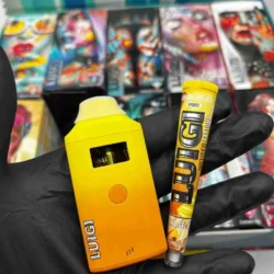 2g - Luigi Oil Disposable + Preroll Combo Pack - DOGTOWN