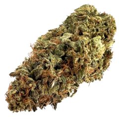 14g - Gelato 41 - Sativa Hybrid