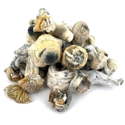 3.5g - Iceberg Magic Mushrooms