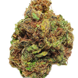 7g - Heavy Hog - Sativa