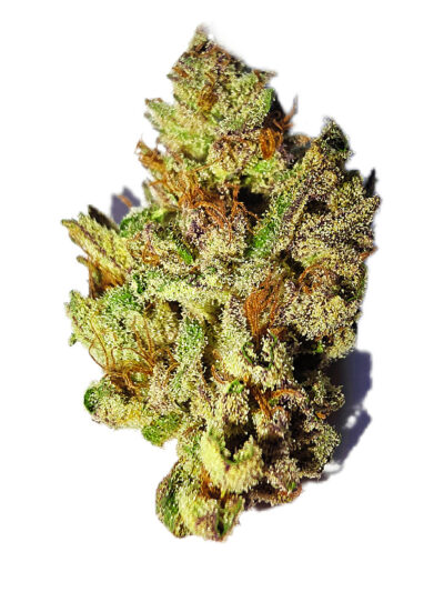 7g - Automatic Bang Reloaded - Indica