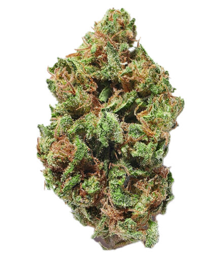 7g - Jordan Page - Sativa