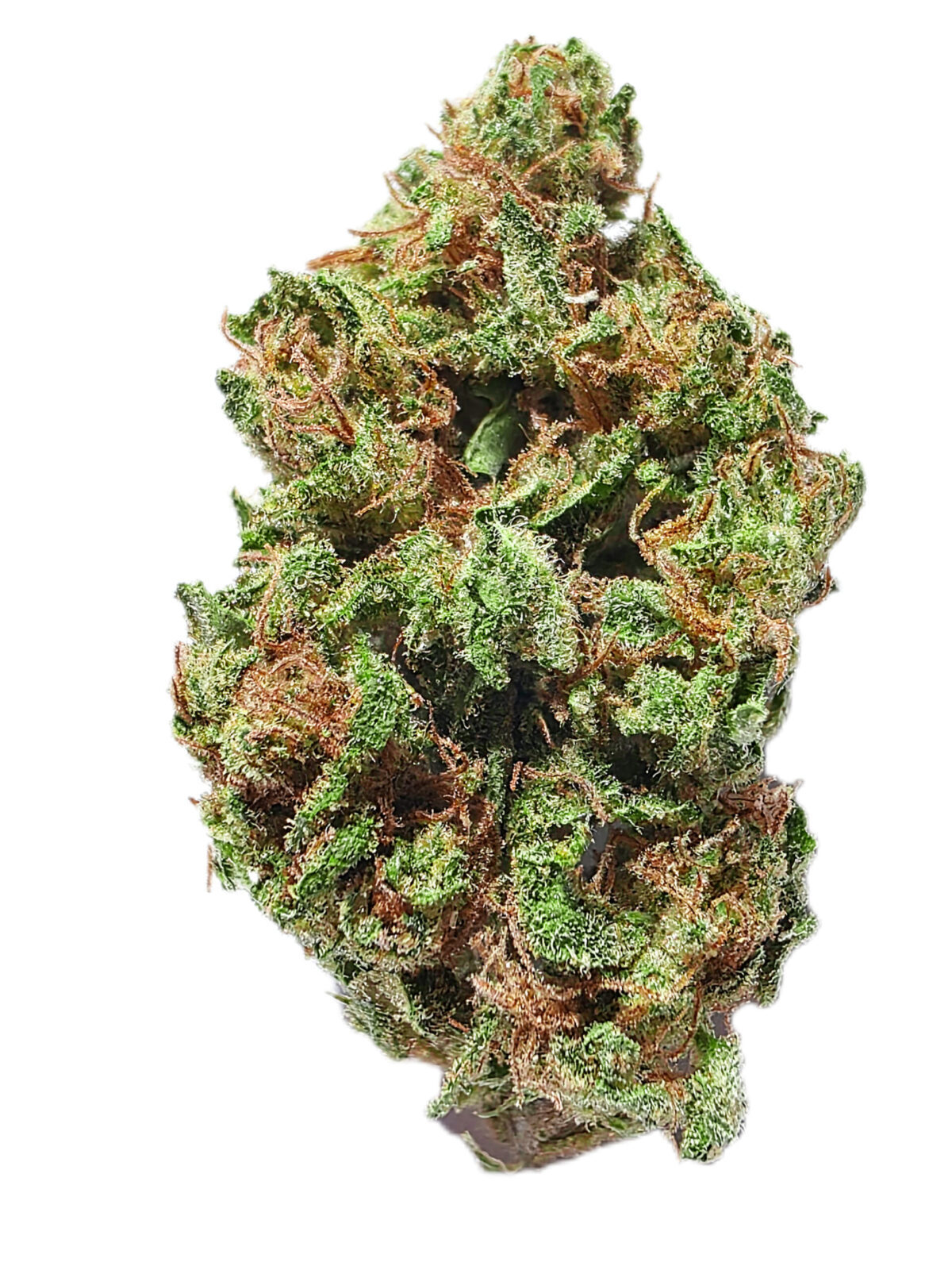 7g - Jordan Page - Sativa