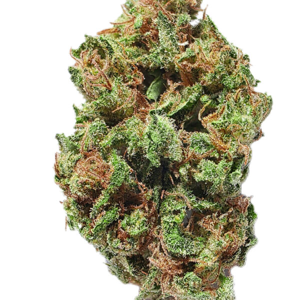 7g - Jordan Page - Sativa