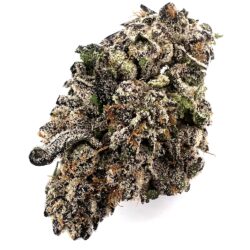 7g - Purple Cream - Hybrid Indica Dominant