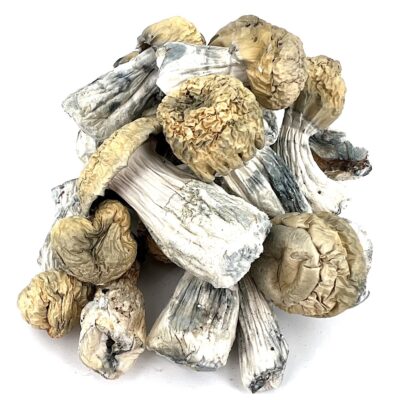4g - Purple Mystic Magic Mushrooms