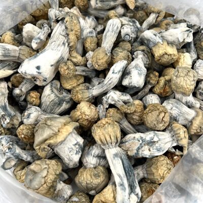 4g - Purple Mystic Magic Mushrooms - Image 2