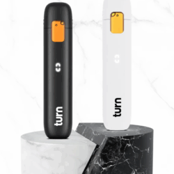 2g - TURN Disposable Vape