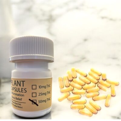Wellness Capsules - Whole Plant - Image 2