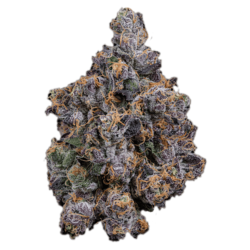 28g - Biscotti - indica