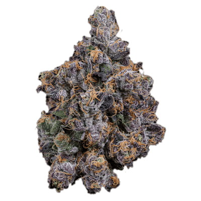 7g - Biscotti - Indica