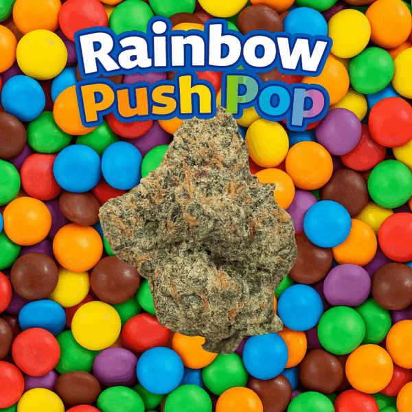28g - Rainbow Push Pop - Exotic Indoor Flower (Indica) - DOGTOWN