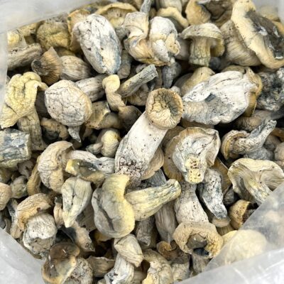 4g - Madd Hatter Magic Mushrooms - Image 2
