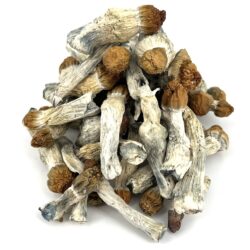 4g - Penis Envy Magic Mushrooms