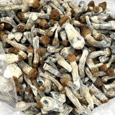4g - Penis Envy Magic Mushrooms - Image 2