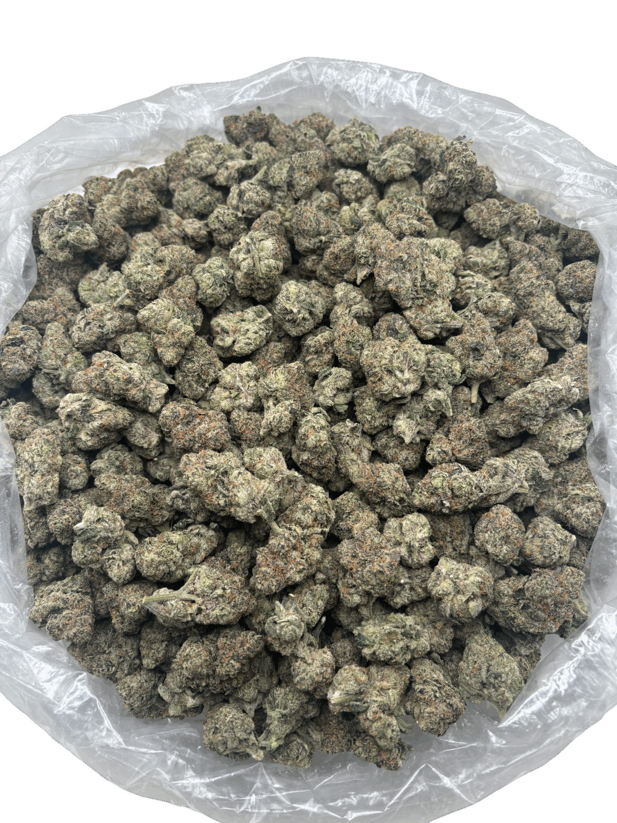 28g - Rainbow Push Pop - Exotic Indoor Flower (Indica) - DOGTOWN - Image 2