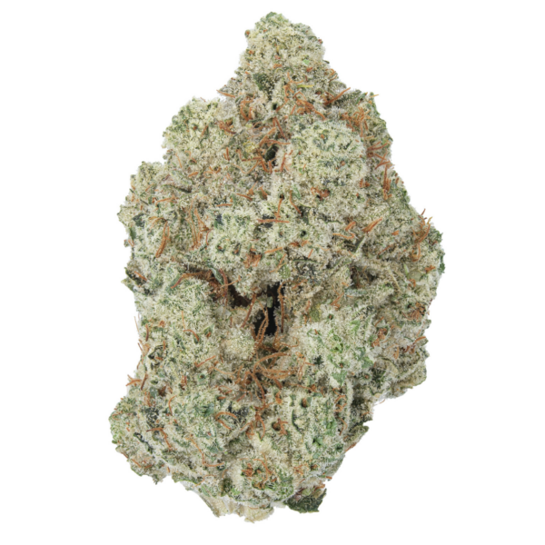 14g/28g - Gluebert - AAA Indoor Flower (Hybrid) - DOGTOWN