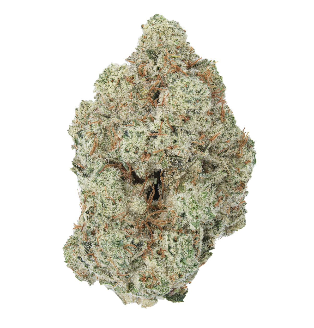 14g/28g - Gluebert - AAA Indoor Flower (Hybrid) - DOGTOWN
