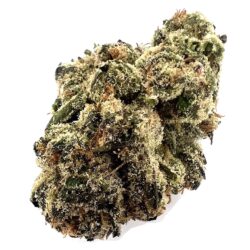 7g - Super Gelato Indoor - Hybrid