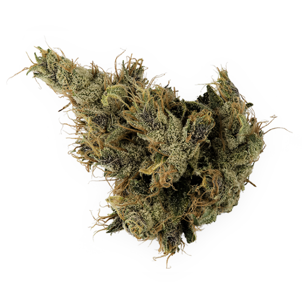 14g/28g - Golden Haze - AWARD WINNING AAA Indoor Flower (Sativa) - DOGTOWN