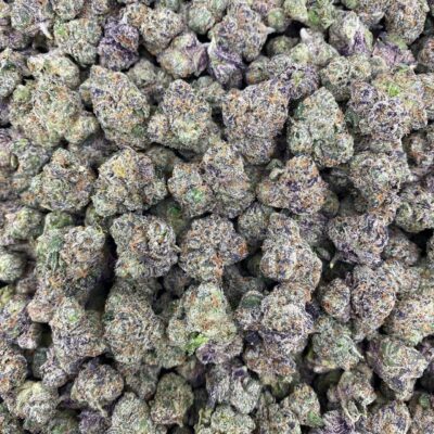 28g - Black Cherry Gelato - Exotic Indoor Flower (Indica-Dominant Hybrid) - DOGTOWN