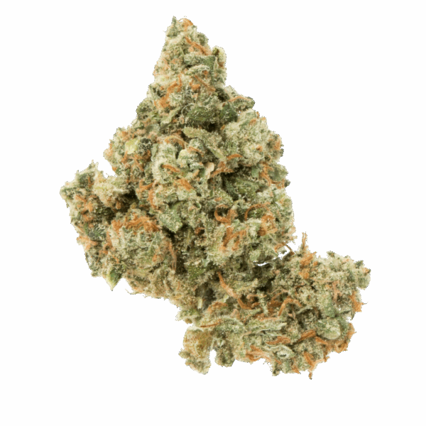 14g/28g - Super Silver Haze - AAA Indoor Flower (Sativa) - DOGTOWN