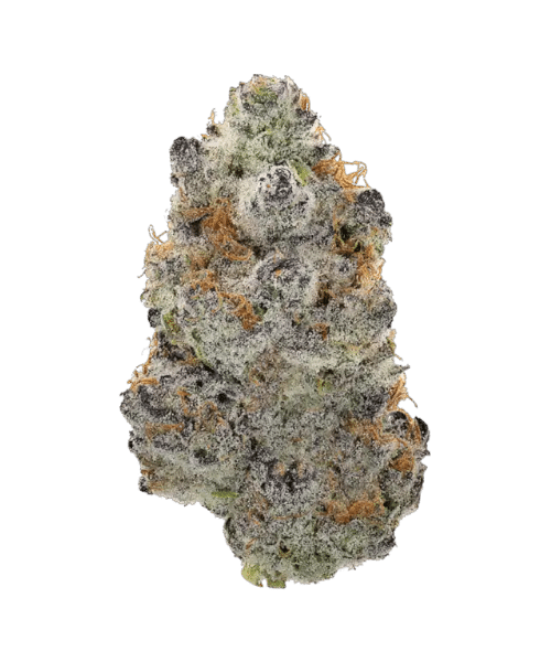 14g/28g - Zazooka - Exotic Indoor Flower (Indica-Heavy Hybrid) - DOGTOWN