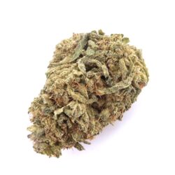 14g - Cracker Jack - Hybrid