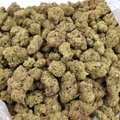 14g - Pixie Dust - Indica Hybrid - Image 3