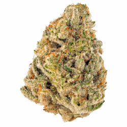 28G- Sour Cheese - Hybrid