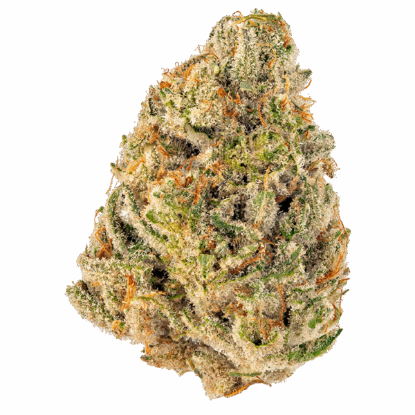 28G- Sour Cheese - Hybrid