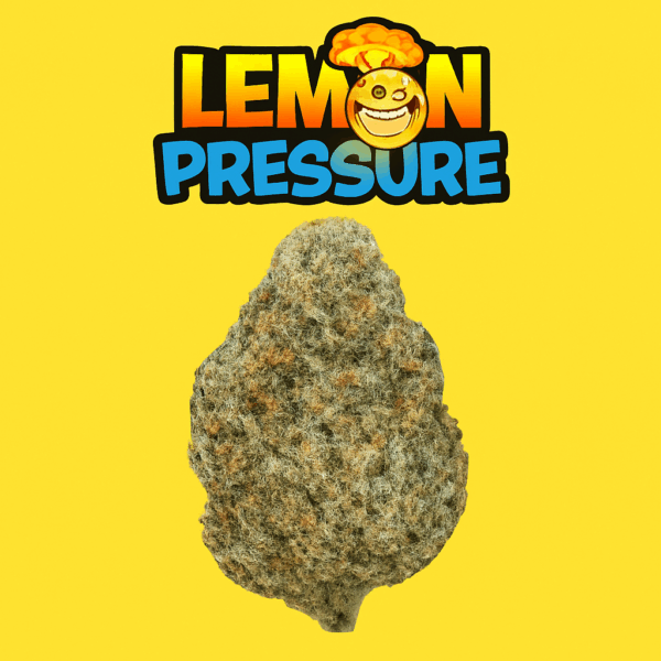 28g - Lemon Pressure - AAA Exotic Indoor Flower (Hybrid) - DOGTOWN