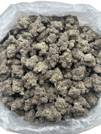28g - Lemon Pressure - AAA Exotic Indoor Flower (Hybrid) - DOGTOWN - Image 2