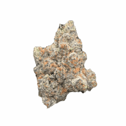 28g - Lemon Pressure - AAA Exotic Indoor Flower (Hybrid) - DOGTOWN