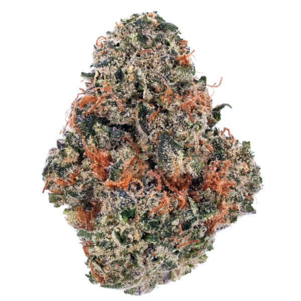 14g/28g - Candy Crush - AAA Exotic Indoor Flower (Hybrid) - Dogtown