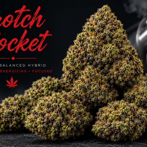 14g/28g - CROTCH ROCKET – Exotic Flower (HYBRID) - Kind Canna