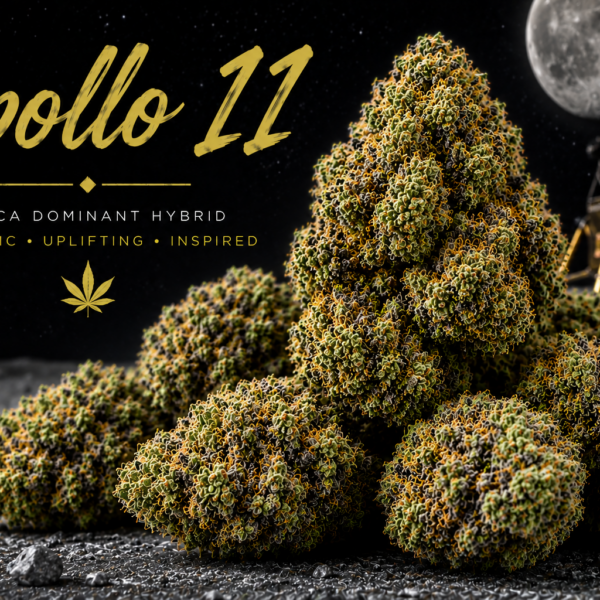 14g/28g - APOLLO 11 – Exotic Flower (Hybrid) - Kind Canna