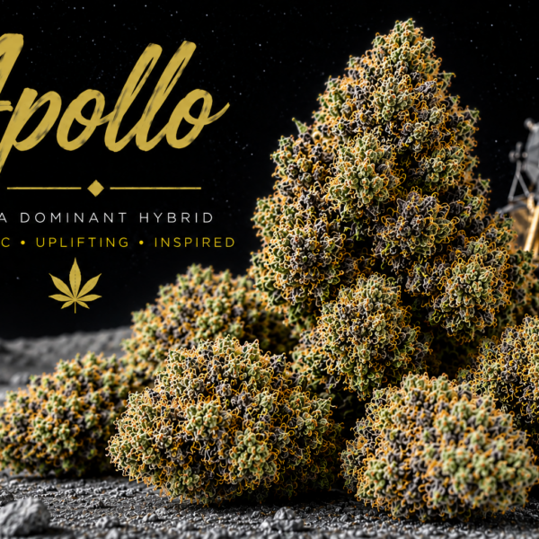 14g/28g - APOLLO – Exotic Flower (Hybrid) - Kind Canna