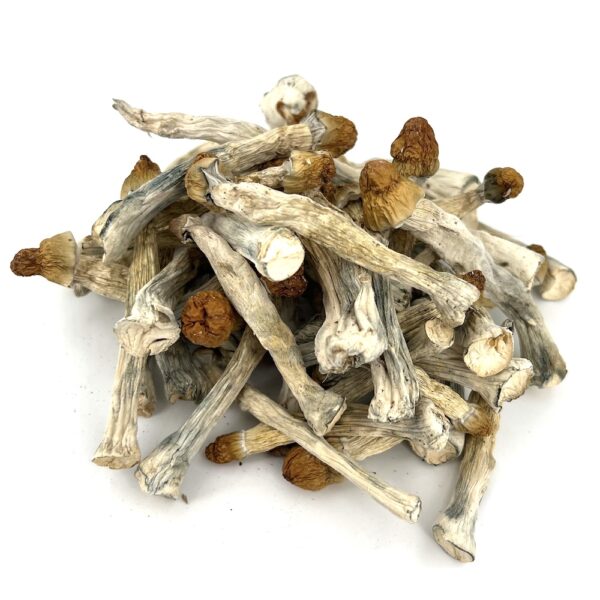 4g - Blue Envy Magic Mushrooms