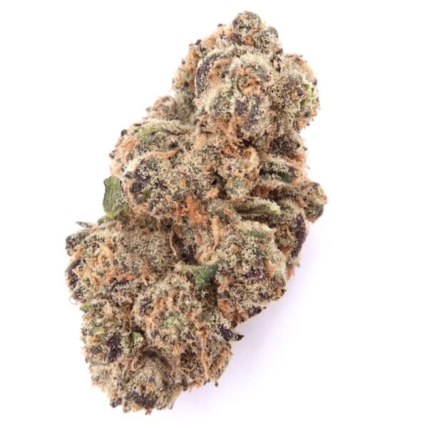 7g - GovernMint Oasis Indoor - Hybrid