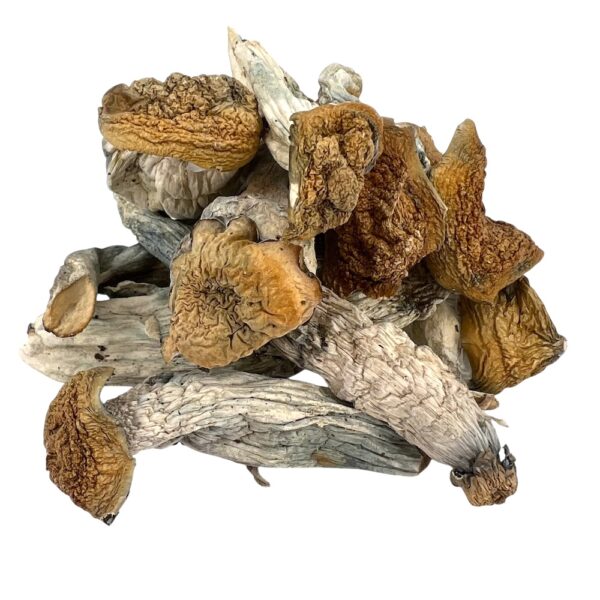 4g - Twisted Pumpkin Magic Mushrooms