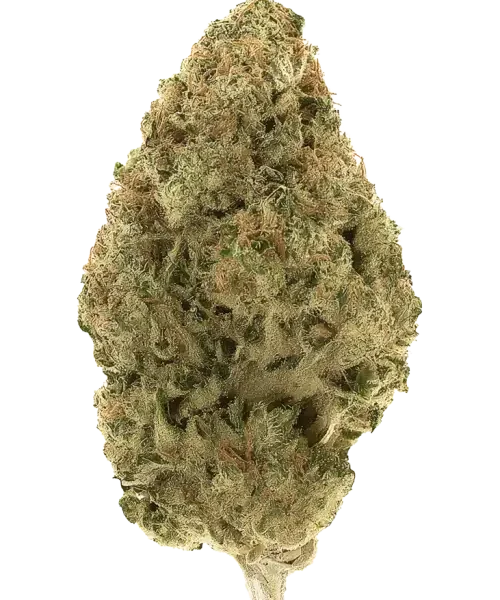7g - Pineapple OG (Indoor)- Hybrid - NX
