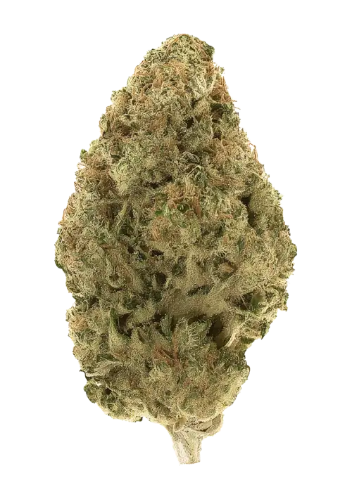 7g - Pineapple OG (Indoor)- Hybrid - NX