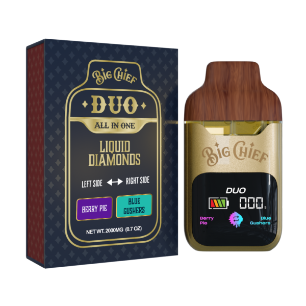 2g - Big Chief Liquid Diamonds All-In-One Vape - DOGTOWN