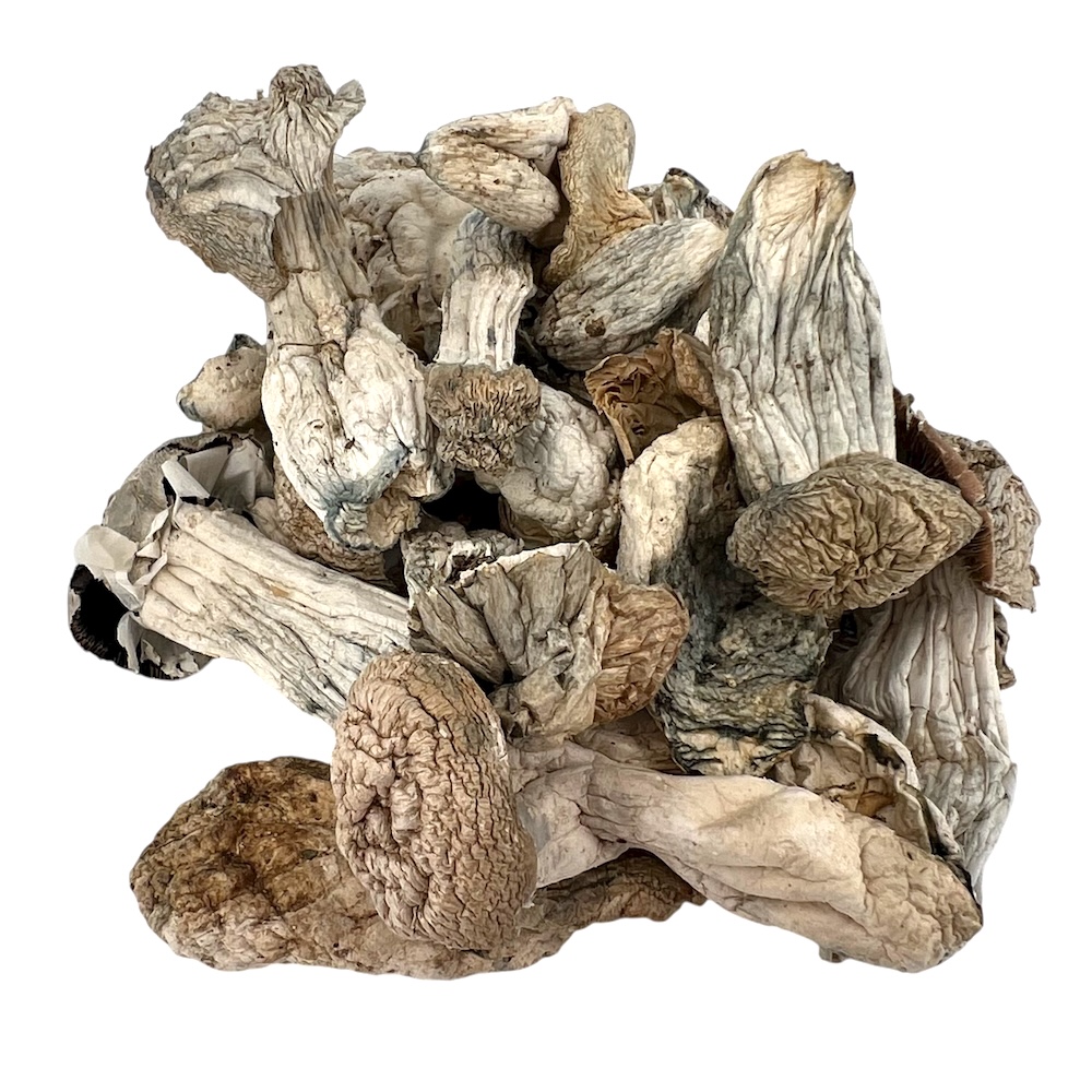 4g - Albino Penis Envy (APE) Magic Mushrooms